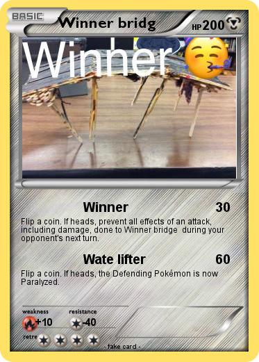 Pokemon Winner bridg