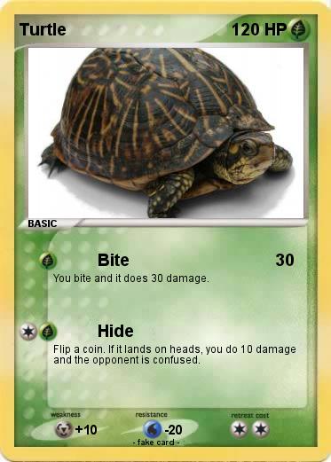 Pokemon Turtle