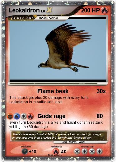 Pokemon Leokaidron