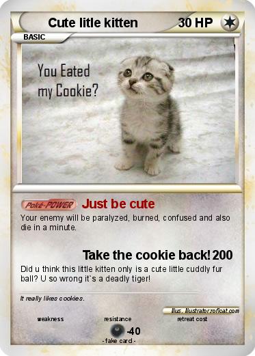 Pokemon Cute litle kitten