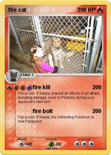 Pokemon fire cat