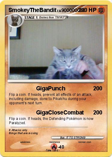 Pokemon SmokeyTheBandit