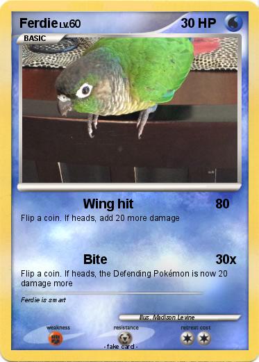 Pokemon Ferdie
