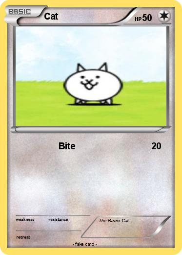 Pokemon Cat