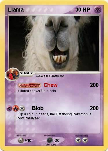 Pokemon Llama