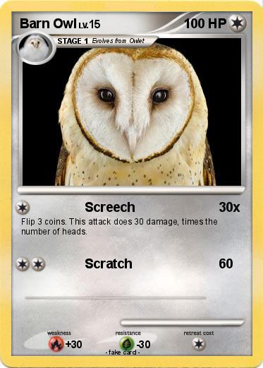 Pokemon Barn Owl