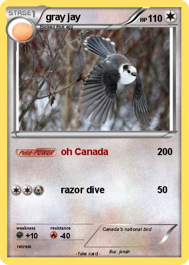 Pokemon gray jay