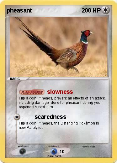 Pokemon pheasant