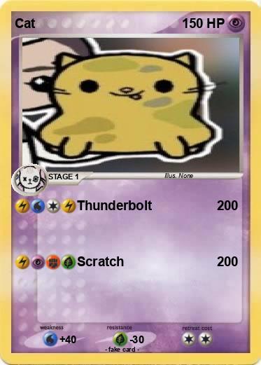 Pokemon Cat