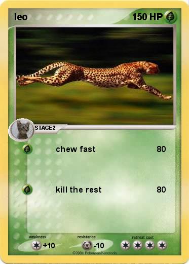 Pokemon leo