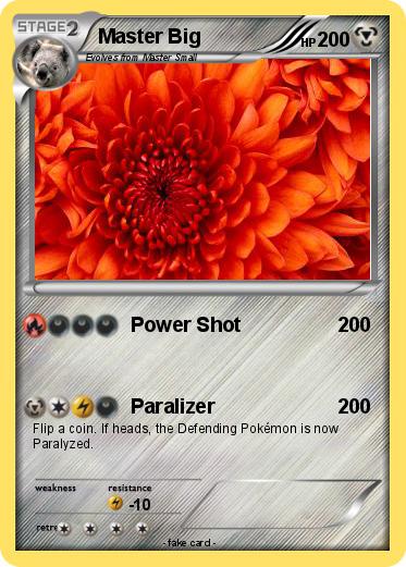 Pokemon Master Big