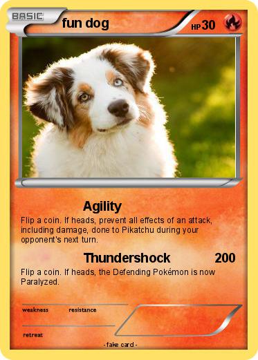 Pokemon fun dog