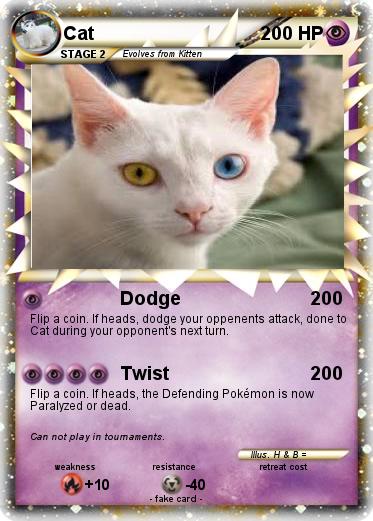 Pokemon Cat