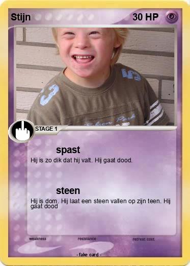 Pokemon Stijn