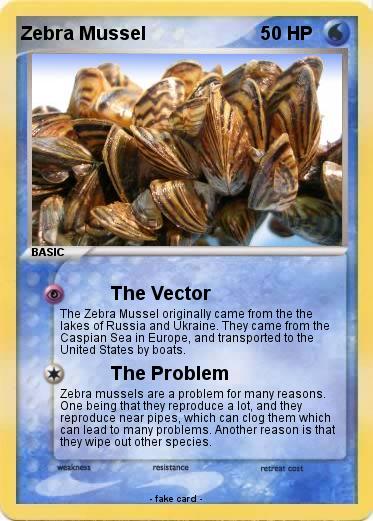 Pokemon Zebra Mussel