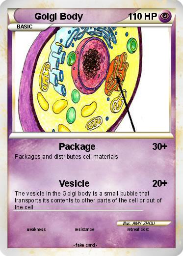 Pokemon Golgi Body