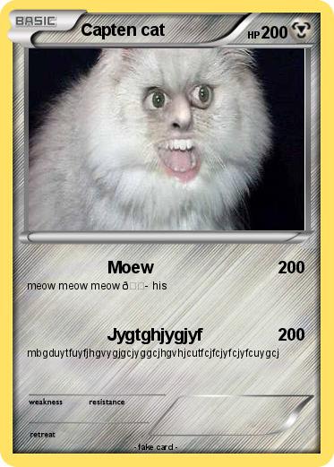 Pokemon Capten cat