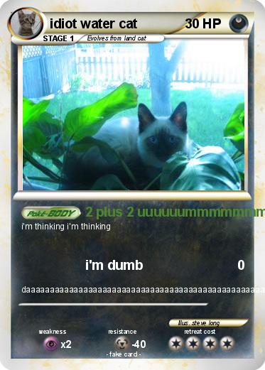 Pokemon idiot water cat