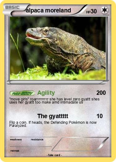 Pokemon alpaca moreland