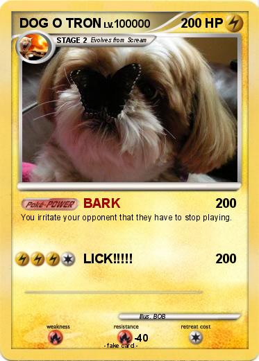 Pokemon DOG O TRON