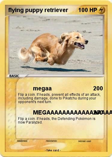 Pokemon flying puppy retriever