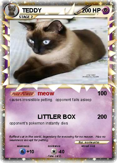 Pokemon TEDDY