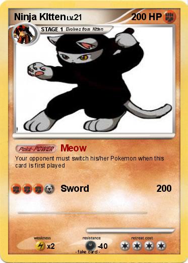 Pokemon Ninja KItten
