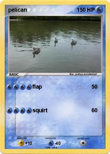 Pokemon pelican