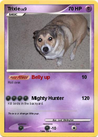 Pokemon Trixie