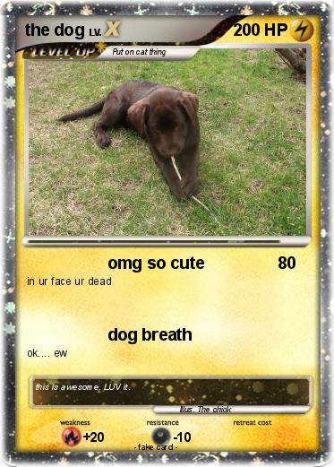 Pokemon the dog