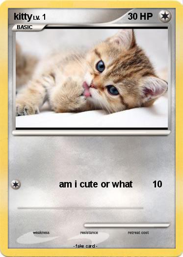 Pokemon kitty