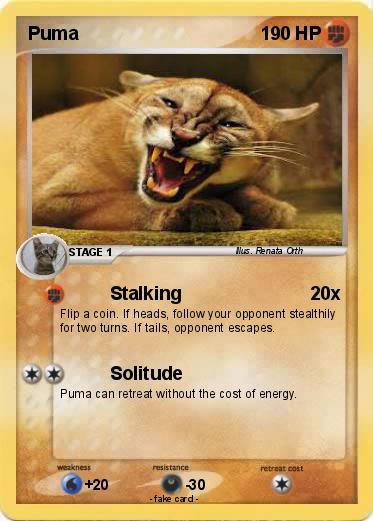 Pokemon Puma
