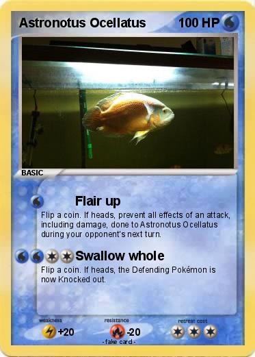Pokemon Astronotus Ocellatus