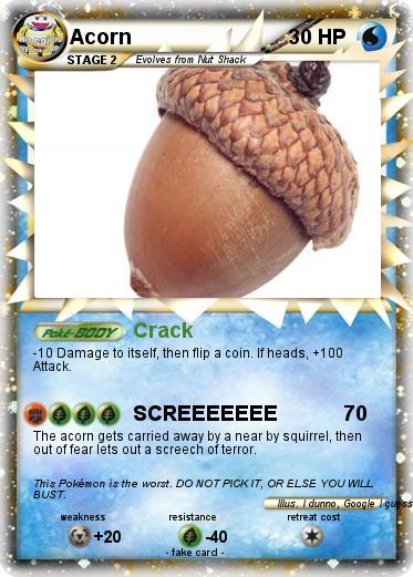 Pokemon Acorn