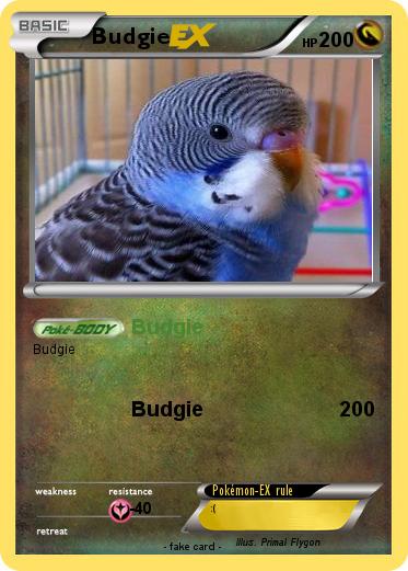 Pokemon Budgie