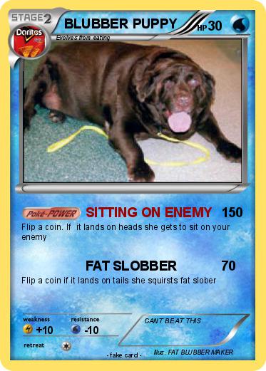 Pokemon BLUBBER PUPPY
