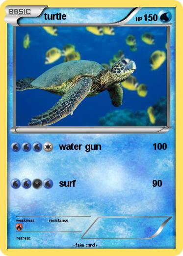 Pokemon turtle
