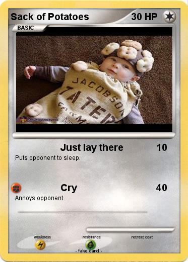 Pokemon Sack of Potatoes