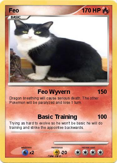 Pokemon Feo