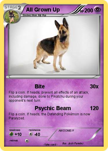 Pokemon All Grown Up