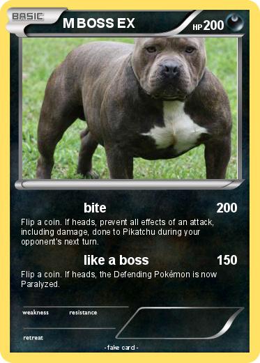 Pokemon M BOSS EX