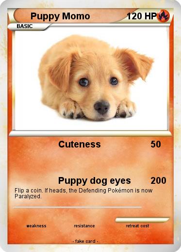 Pokemon Puppy Momo