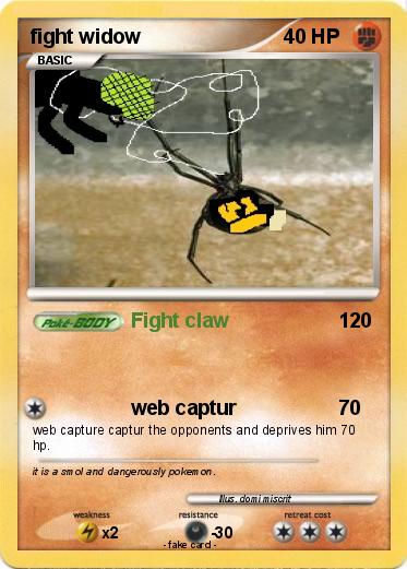 Pokemon fight widow