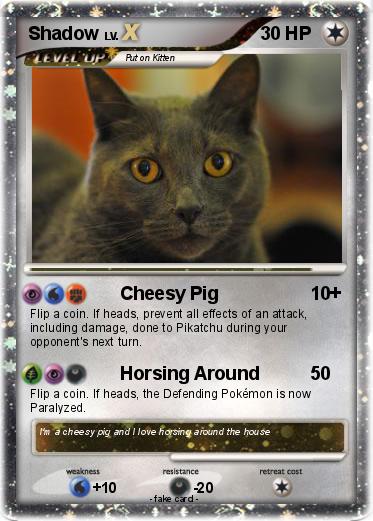 Pokemon Shadow