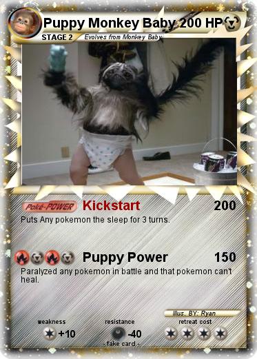 Pokemon Puppy Monkey Baby