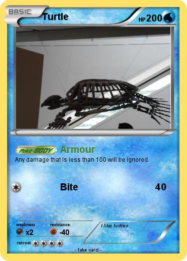 Pokemon Turtle