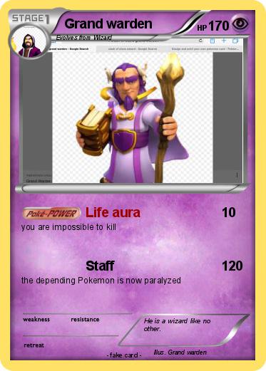 Pokemon Grand warden
