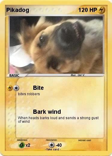 Pokemon Pikadog