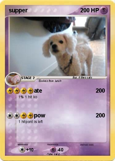 Pokemon supper