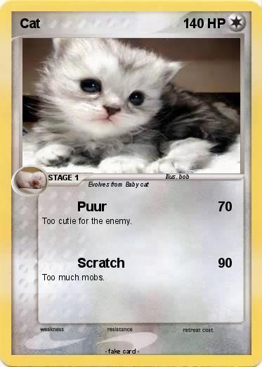 Pokemon Cat